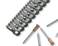 Alligator-RIVET-AR Alligator-RIVET-AR